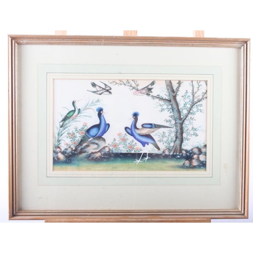 475 - A pair of Chinese watercolours, tropical birds, 6 3/4