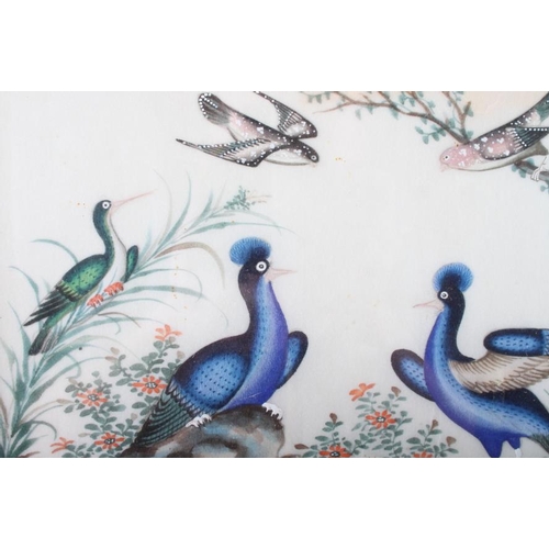 475 - A pair of Chinese watercolours, tropical birds, 6 3/4