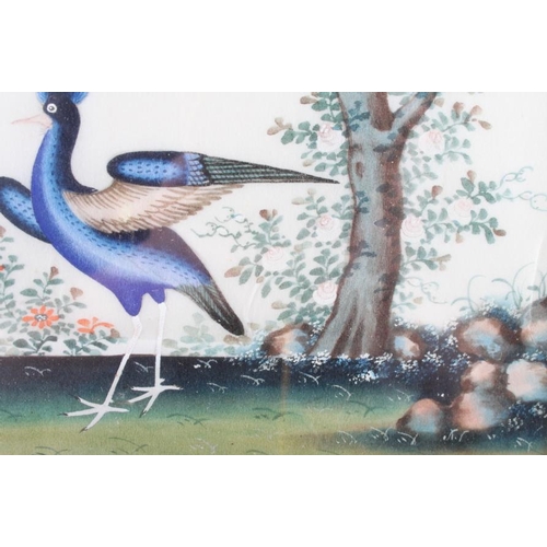 475 - A pair of Chinese watercolours, tropical birds, 6 3/4