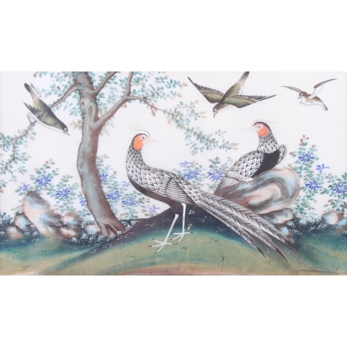 475 - A pair of Chinese watercolours, tropical birds, 6 3/4