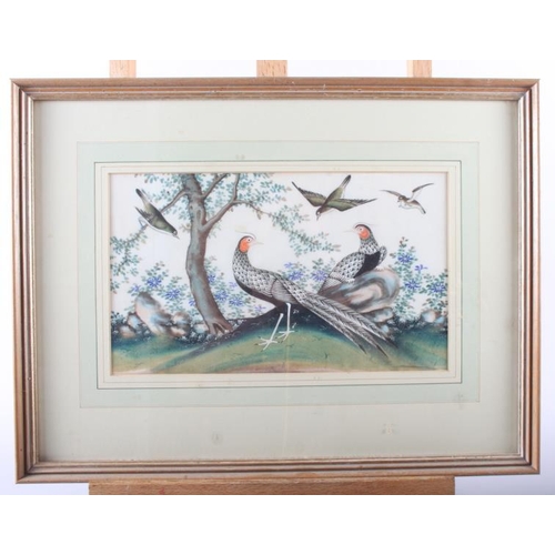 475 - A pair of Chinese watercolours, tropical birds, 6 3/4