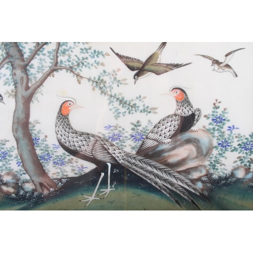 475 - A pair of Chinese watercolours, tropical birds, 6 3/4