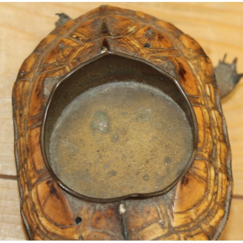 78 - A taxidermy tortoise, now converted to an ashtray, 7