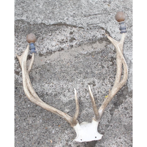 83 - A taxidermy wall mounted fallow deer head with nineteen-point antlers (damages) and a pair of thirte... 