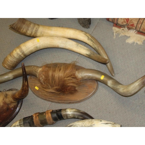 84 - A pair of wall mounted cow horns, a similar smaller pair, a leather mounted pair, an unmounted pair ... 