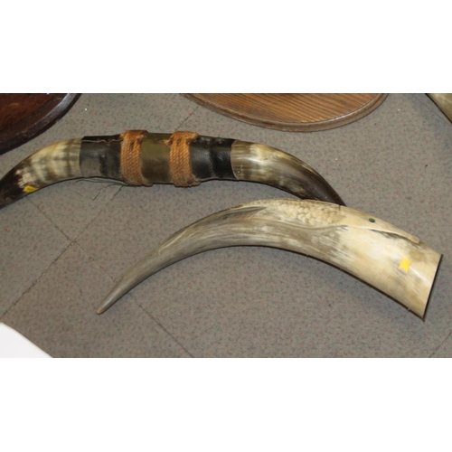 84 - A pair of wall mounted cow horns, a similar smaller pair, a leather mounted pair, an unmounted pair ... 