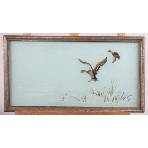 436 - A painting on glass of a bird with flowers and a quantity of miscellaneous pictures, mostly birds an... 