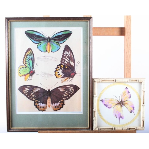 437 - A collection of butterfly prints, various