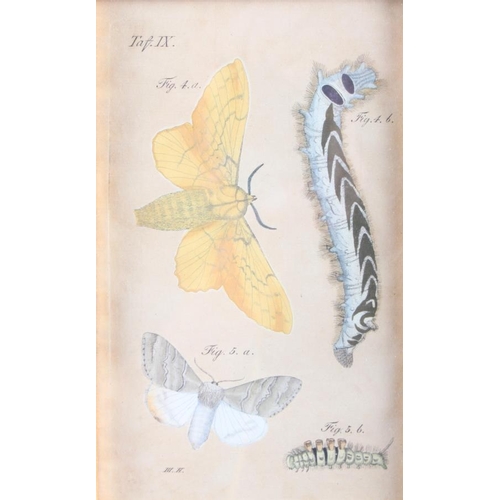 437 - A collection of butterfly prints, various