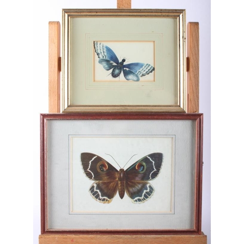 437 - A collection of butterfly prints, various