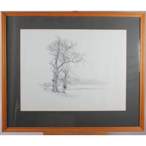 326 - Geldart: three signed limited edition black and white prints, studies of trees, in pine strip frames