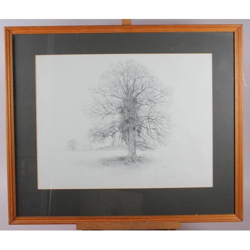 326 - Geldart: three signed limited edition black and white prints, studies of trees, in pine strip frames