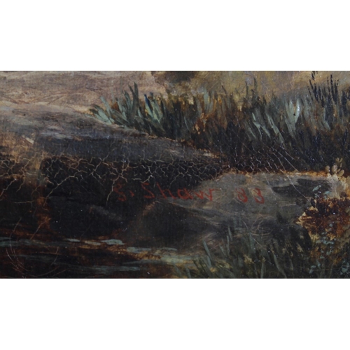 427 - G Shaw, '88: oil on canvas, Continental landscape with waterfall, 11 3/4