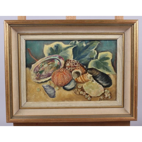 430 - Daphne Janvrin: oil on canvas, still life of shells and leaves, 6 1/2