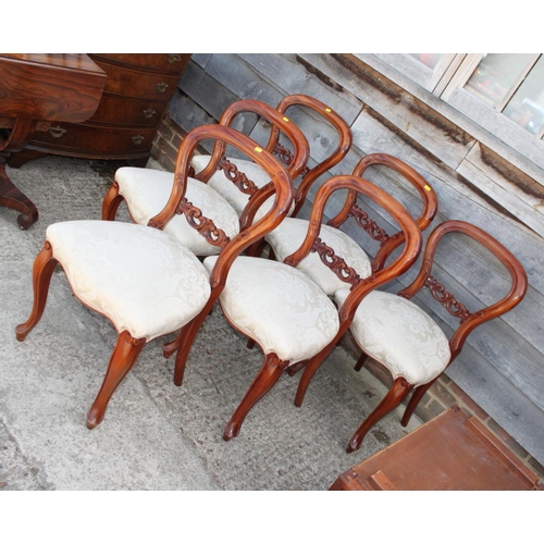 459 - A set of six late Victorian carved mahogany loop back dining chairs with stuffed over seats, on cabr... 