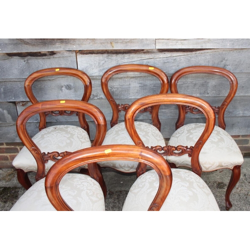 459 - A set of six late Victorian carved mahogany loop back dining chairs with stuffed over seats, on cabr... 