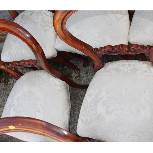 459 - A set of six late Victorian carved mahogany loop back dining chairs with stuffed over seats, on cabr... 