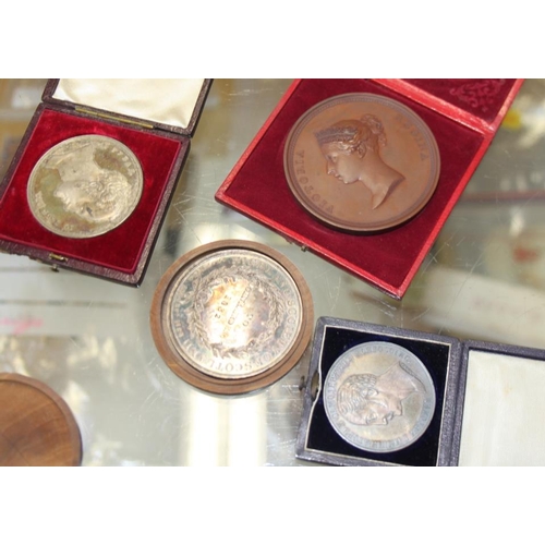 310 - A selection of bronze, silvered, gilt and plaster medallions, various