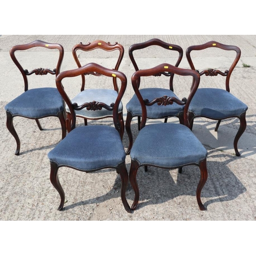 536 - A Harlequin set of six William IV rosewood loop back dining chairs with stuffed over seats, on cabri... 