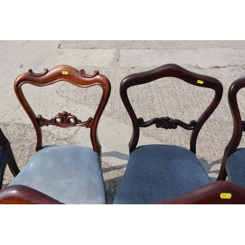 536 - A Harlequin set of six William IV rosewood loop back dining chairs with stuffed over seats, on cabri... 