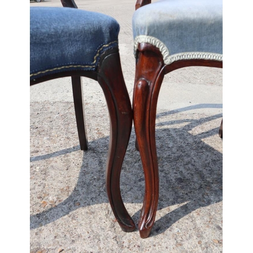 536 - A Harlequin set of six William IV rosewood loop back dining chairs with stuffed over seats, on cabri... 