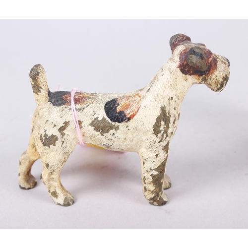 151 - A cold painted bronze statue of a terrier, 3 1/2