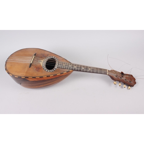 175 - A 19th century Stridente rosewood mandolin, face decorated mother-of-pearl inlay and inlaid butterfl... 