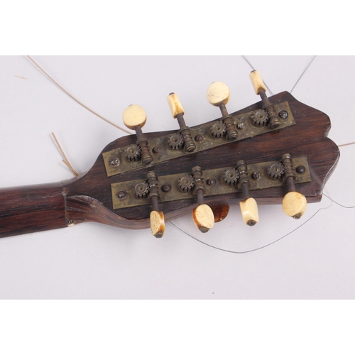 175 - A 19th century Stridente rosewood mandolin, face decorated mother-of-pearl inlay and inlaid butterfl... 