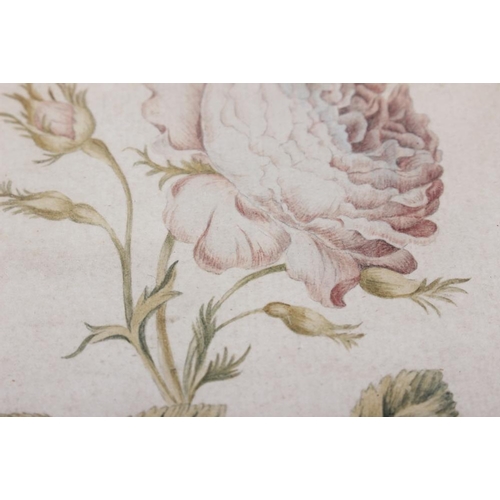 435 - P Evans?: a pair of 18th century still life watercolours, roses, 8 1/4