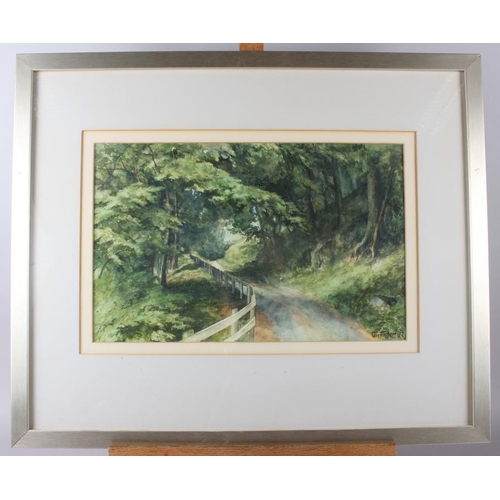 449 - Jan Fisher: watercolours, woodland country lane, 9