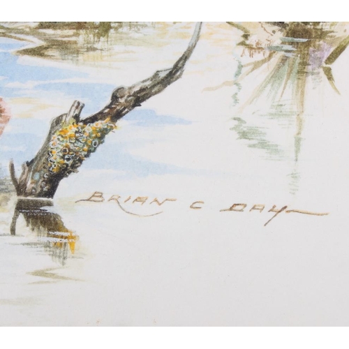 453 - Brian C Day: watercolours, study of a lapwing, 9 1/2