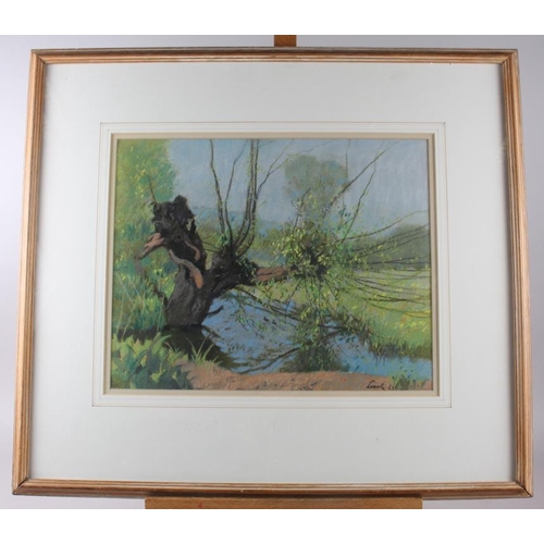 466 - Leech, '63: pastels, old pollard willow, 11