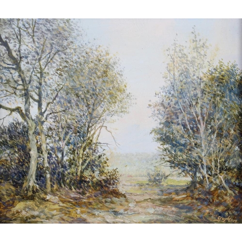 480 - Gerald Hughes, '79: oil on panel, a woodland clearing, 5