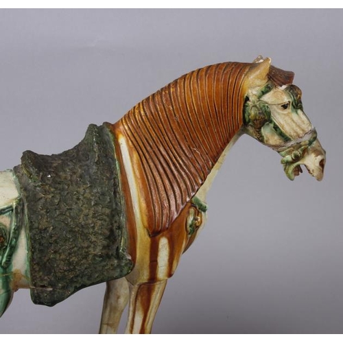 77 - A Tang style model of a horse, 12 1/4