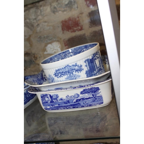 19 - A Copeland Spode 