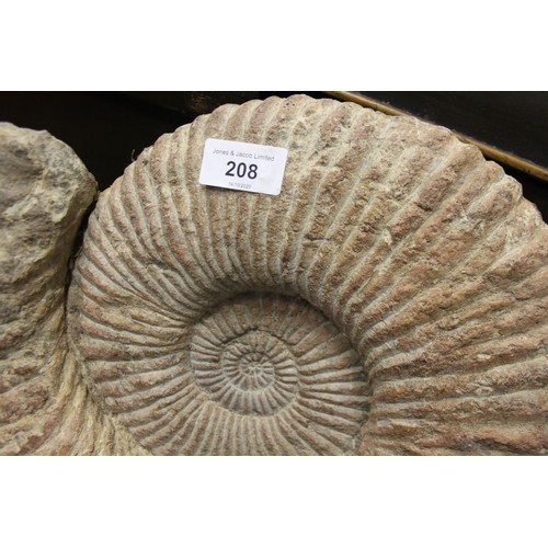 208 - A fossilised ammonite, 18