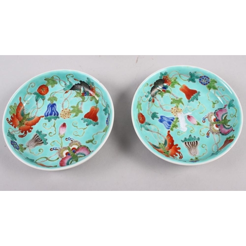 127 - A pair of Chinese polychrome dishes, decorated flowers and insects, 5