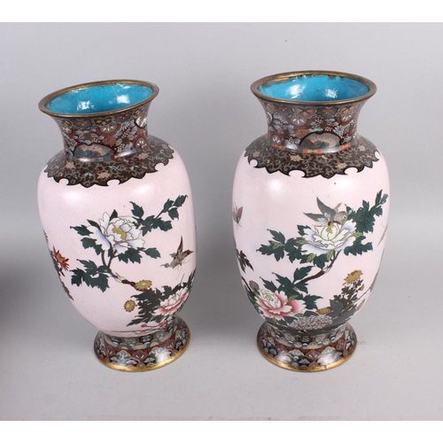 140 - A pair of late 19th century Japanese cloisonne bulbous vases with chrysanthemum and insect decoratio... 