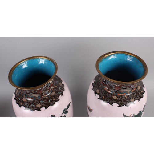 140 - A pair of late 19th century Japanese cloisonne bulbous vases with chrysanthemum and insect decoratio... 