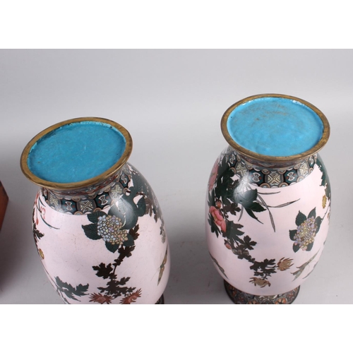 140 - A pair of late 19th century Japanese cloisonne bulbous vases with chrysanthemum and insect decoratio... 