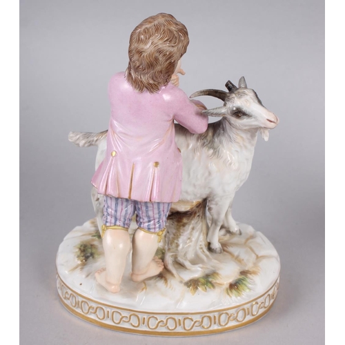 232 - A 19th century Meissen figure of a child with a goat, on oval base, 6