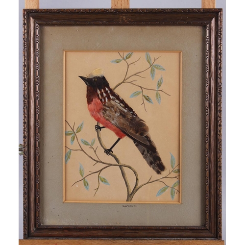 262 - A late 19th century feather collage of a red breasted bird, 8 1/2