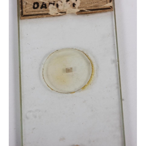 179 - A student's travelling microscope with microscope slides, 6 3/4