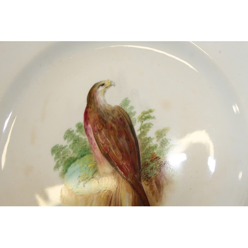 100 - Four 19th century hand-painted tazzas, decorated birds, three matching plates and a miniature dinner... 