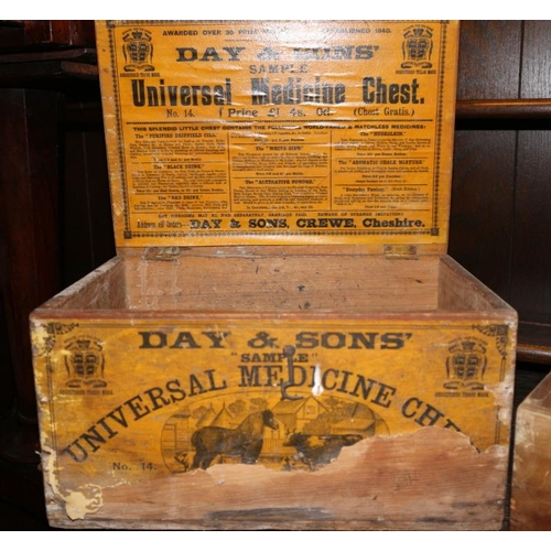 200 - A Day & Sons universal medicine chest, for equestrian and large animals, and a similar medicine ches... 