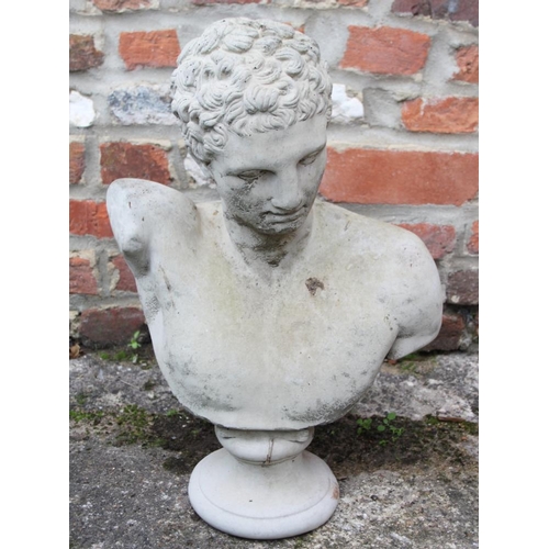 640 - A composition bust of Apollo belvedere, 20 1/2