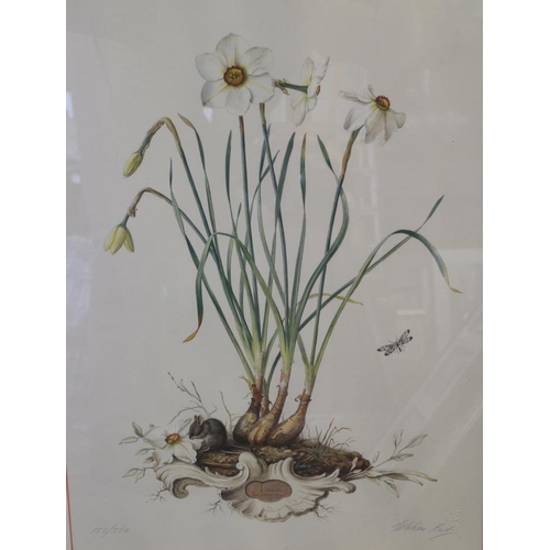 310 - A botanical print, in strip frame, a pastel study of flowers and a number of other pictures