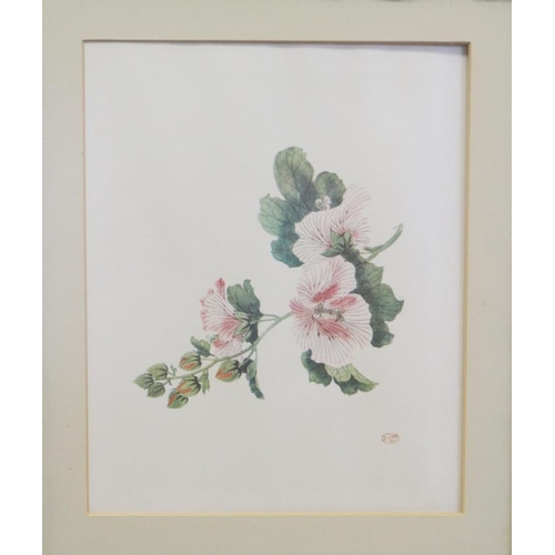 352 - A pair of Chinese school botanical prints, in bamboo frames, and six other prints, in silvered frame... 