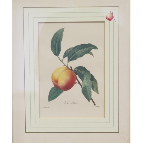 352 - A pair of Chinese school botanical prints, in bamboo frames, and six other prints, in silvered frame... 