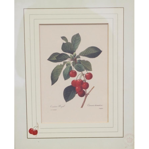 352 - A pair of Chinese school botanical prints, in bamboo frames, and six other prints, in silvered frame... 